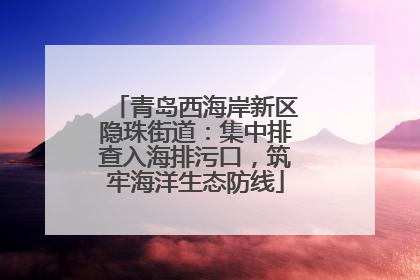 青岛西海岸新区隐珠街道：集中排查入海排污口，筑牢海洋生态防线