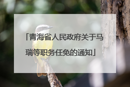 青海省人民政府关于马瑞等职务任免的通知