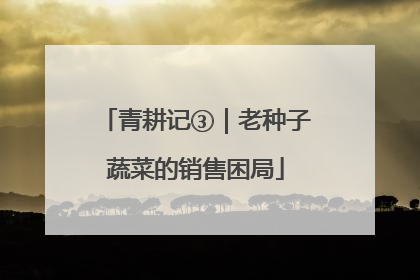 青耕记③｜老种子蔬菜的销售困局