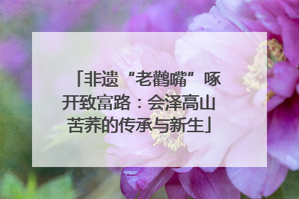 非遗“老鹳嘴”啄开致富路：会泽高山苦荞的传承与新生