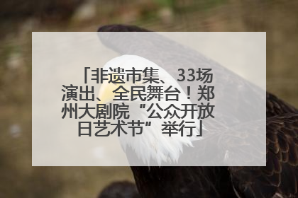 非遗市集、33场演出、全民舞台！郑州大剧院“公众开放日艺术节”举行