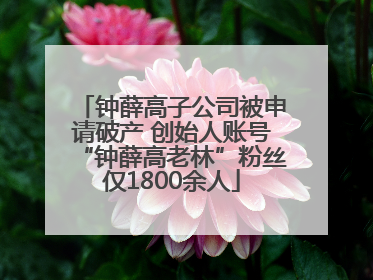 钟薛高子公司被申请破产 创始人账号“钟薛高老林”粉丝仅1800余人