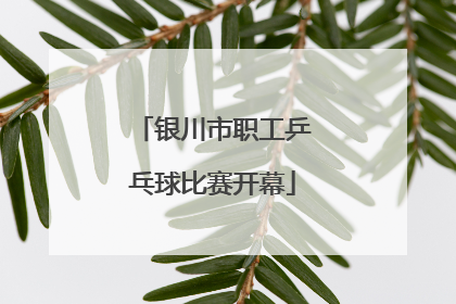 银川市职工乒乓球比赛开幕