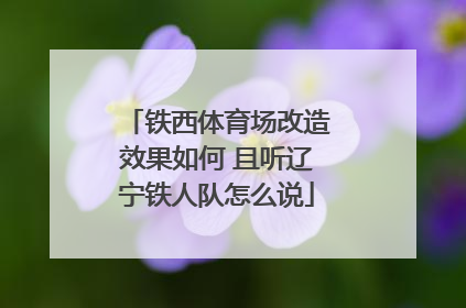 铁西体育场改造效果如何 且听辽宁铁人队怎么说