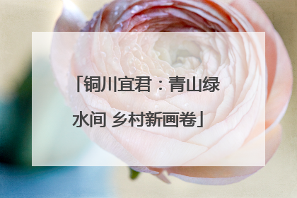 铜川宜君：青山绿水间 乡村新画卷