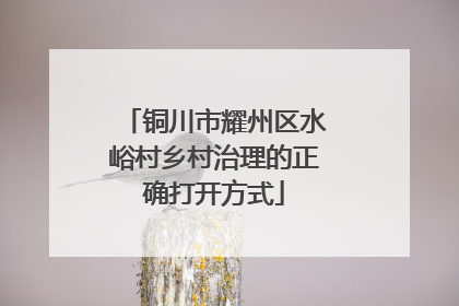 铜川市耀州区水峪村乡村治理的正确打开方式