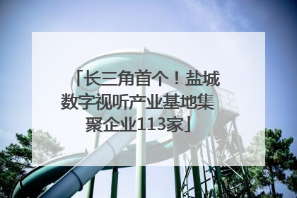 长三角首个！盐城数字视听产业基地集聚企业113家