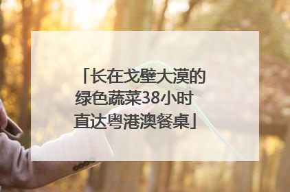 长在戈壁大漠的绿色蔬菜38小时直达粤港澳餐桌