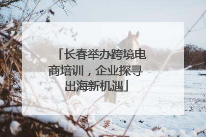 长春举办跨境电商培训，企业探寻出海新机遇