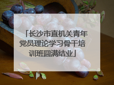 长沙市直机关青年党员理论学习骨干培训班圆满结业
