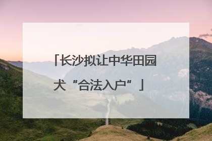长沙拟让中华田园犬“合法入户”