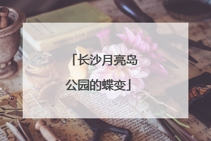 长沙月亮岛公园的蝶变