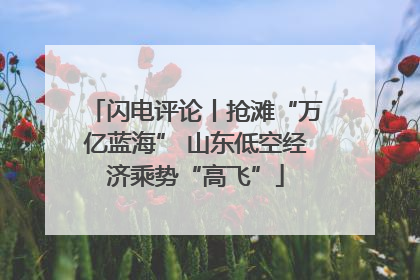 闪电评论丨抢滩“万亿蓝海” 山东低空经济乘势“高飞”