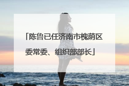 陈鲁已任济南市槐荫区委常委、组织部部长