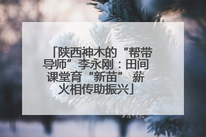 陕西神木的“帮带导师”李永刚：田间课堂育“新苗” 薪火相传助振兴