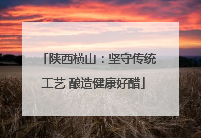 陕西横山：坚守传统工艺 酿造健康好醋