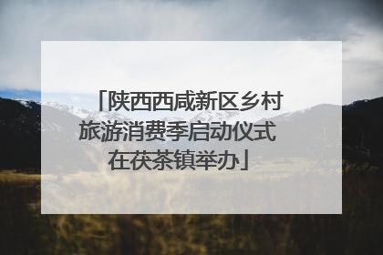 陕西西咸新区乡村旅游消费季启动仪式在茯茶镇举办