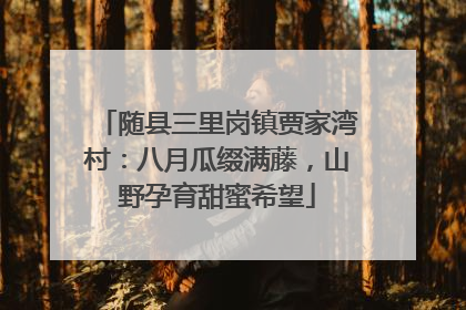 随县三里岗镇贾家湾村：八月瓜缀满藤，山野孕育甜蜜希望