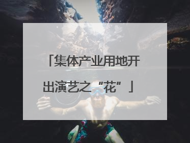 集体产业用地开出演艺之“花”