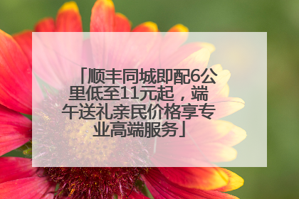 顺丰同城即配6公里低至11元起，端午送礼亲民价格享专业高端服务