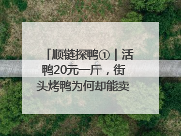 顺链探鸭①｜活鸭20元一斤，街头烤鸭为何却能卖到20多元一只