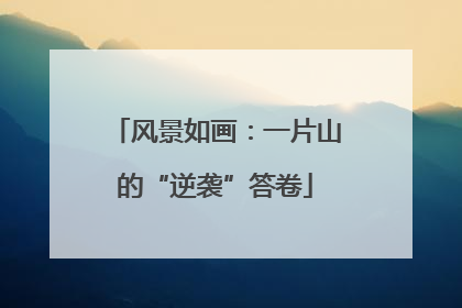风景如画：一片山的“逆袭”答卷
