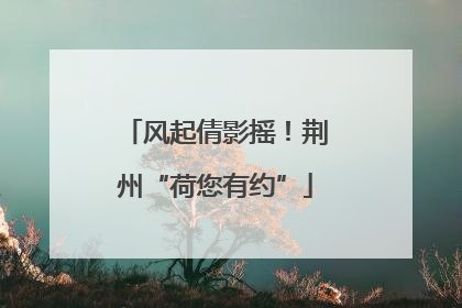 风起倩影摇！荆州“荷您有约”