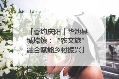 香约庆阳｜华池县城壕镇：“农文旅”融合赋能乡村振兴