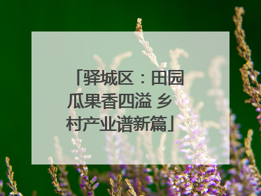 驿城区：田园瓜果香四溢 乡村产业谱新篇