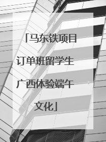 马东铁项目订单班留学生广西体验端午文化