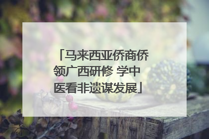 马来西亚侨商侨领广西研修 学中医看非遗谋发展