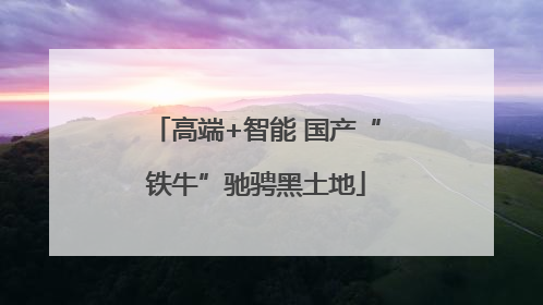 高端+智能 国产“铁牛”驰骋黑土地