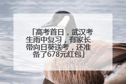 高考首日，武汉考生雨中复习，有家长带向日葵送考，还准备了678元红包