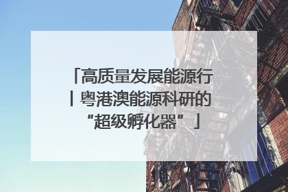 高质量发展能源行丨粤港澳能源科研的“超级孵化器”