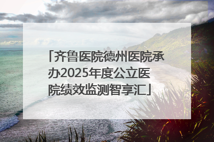 齐鲁医院德州医院承办2025年度公立医院绩效监测智享汇