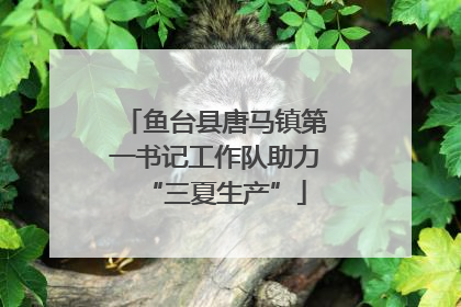 鱼台县唐马镇第一书记工作队助力“三夏生产”