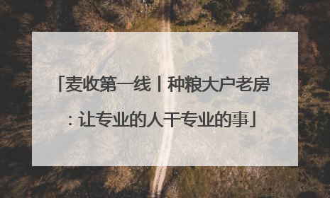 麦收第一线丨种粮大户老房：让专业的人干专业的事