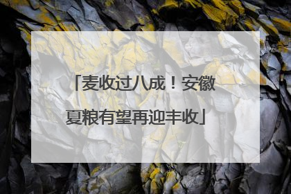 麦收过八成！安徽夏粮有望再迎丰收