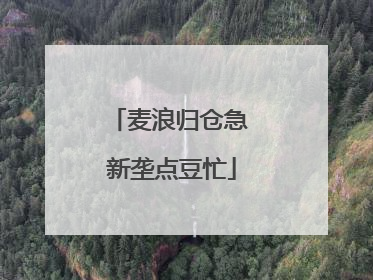 麦浪归仓急 新垄点豆忙
