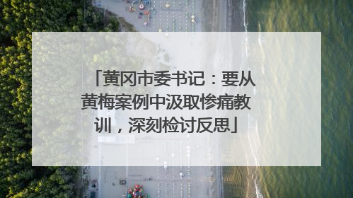 黄冈市委书记：要从黄梅案例中汲取惨痛教训，深刻检讨反思