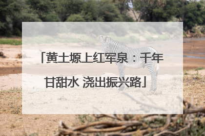 黄土塬上红军泉：千年甘甜水 浇出振兴路