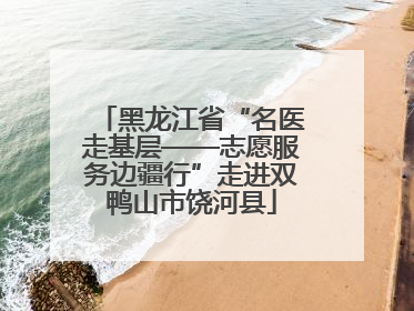 黑龙江省“名医走基层——志愿服务边疆行”走进双鸭山市饶河县