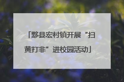 黟县宏村镇开展“扫黄打非”进校园活动