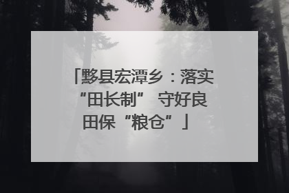 黟县宏潭乡：落实“田长制” 守好良田保“粮仓”