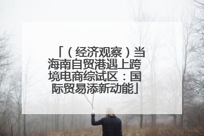 （经济观察）当海南自贸港遇上跨境电商综试区：国际贸易添新动能