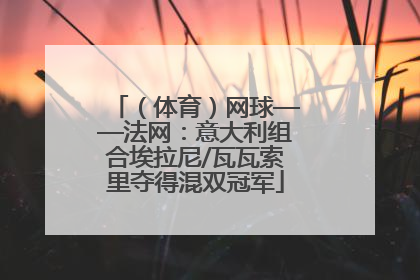 （体育）网球——法网：意大利组合埃拉尼/瓦瓦索里夺得混双冠军
