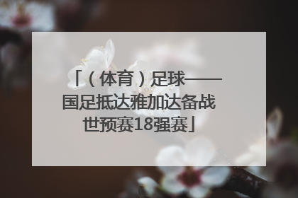 （体育）足球——国足抵达雅加达备战世预赛18强赛