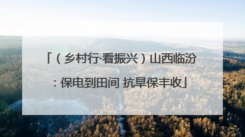 （乡村行·看振兴）山西临汾：保电到田间 抗旱保丰收