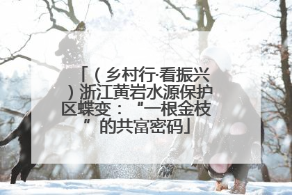 （乡村行·看振兴）浙江黄岩水源保护区蝶变：“一根金枝”的共富密码