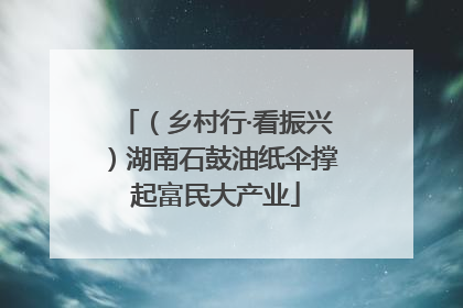 （乡村行·看振兴）湖南石鼓油纸伞撑起富民大产业